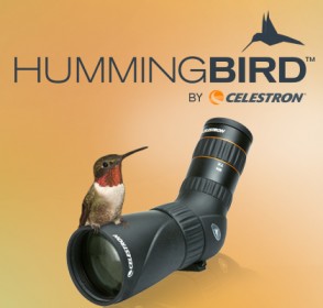 Hummingbird 9-27x56 ED Angled